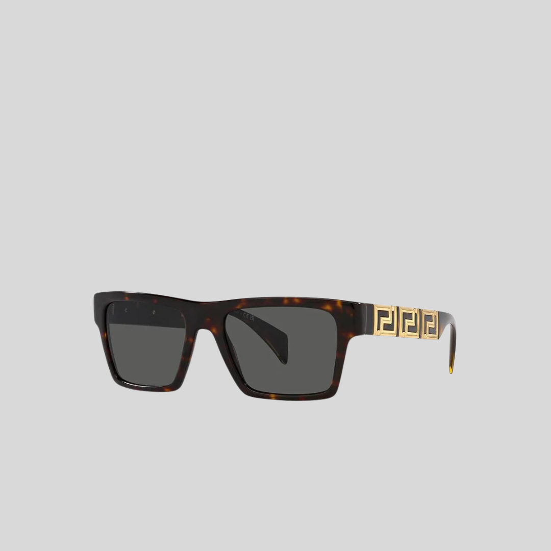 Versace tortoise Sunglasses