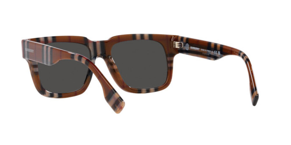 Burberry Brown Hayden Sunglasses