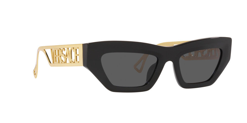 Versace Black VE4432U401/87 Sunglasses